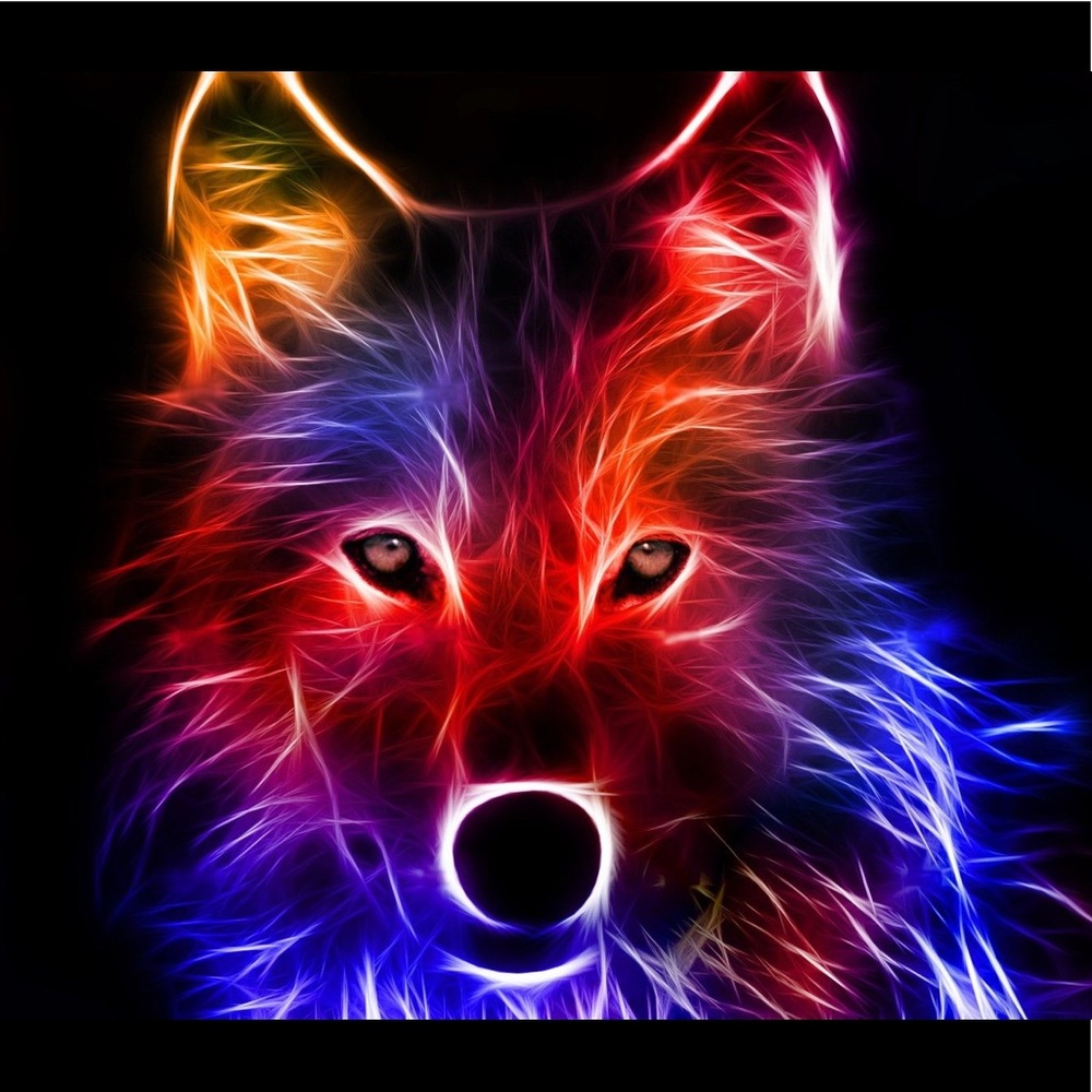 Meet your Posher, Saara